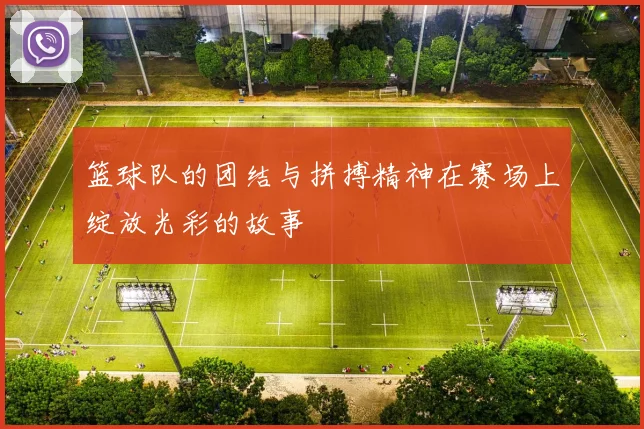 篮球队的团结与拼搏精神在赛场上绽放光彩的故事