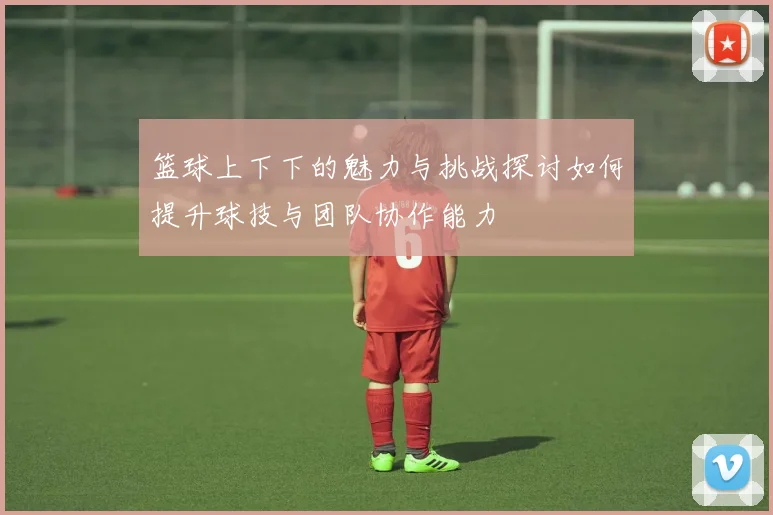 篮球上下下的魅力与挑战探讨如何提升球技与团队协作能力