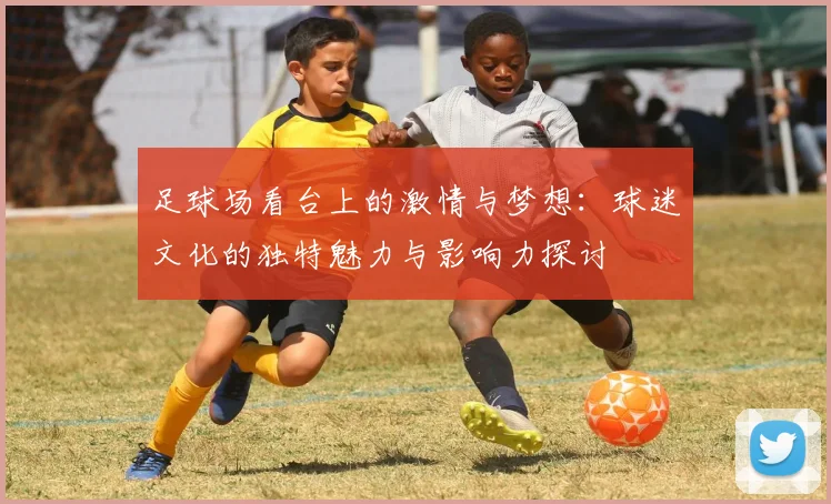 足球场看台上的激情与梦想：球迷文化的独特魅力与影响力探讨