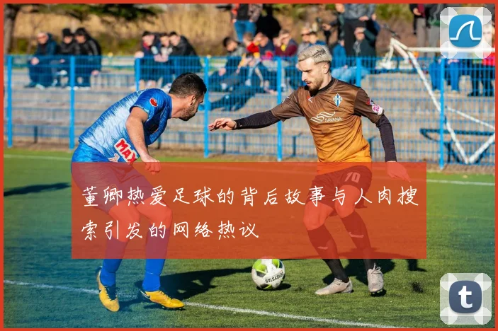 董卿热爱足球的背后故事与人肉搜索引发的网络热议